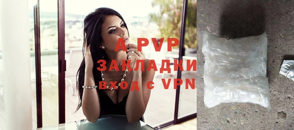 спиды Инсар