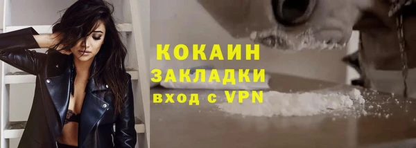 ГАЛЛЮЦИНОГЕННЫЕ ГРИБЫ Каменка
