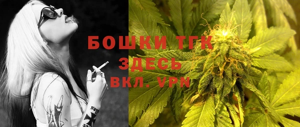 твердый Иннополис