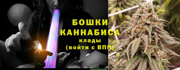 твердый Иннополис