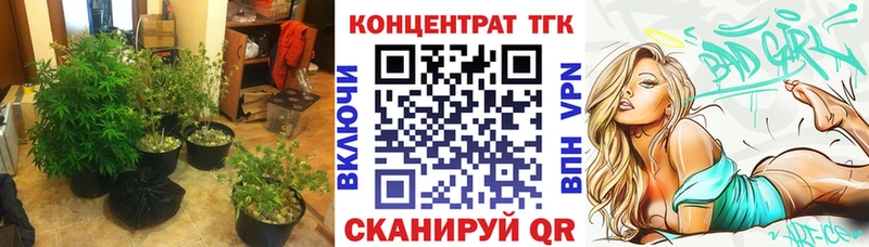 Дистиллят ТГК гашишное масло  Купить  Ивангород 