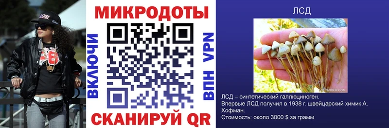 Купить закладки Ивангород Псилоцибиновые грибы мицелий